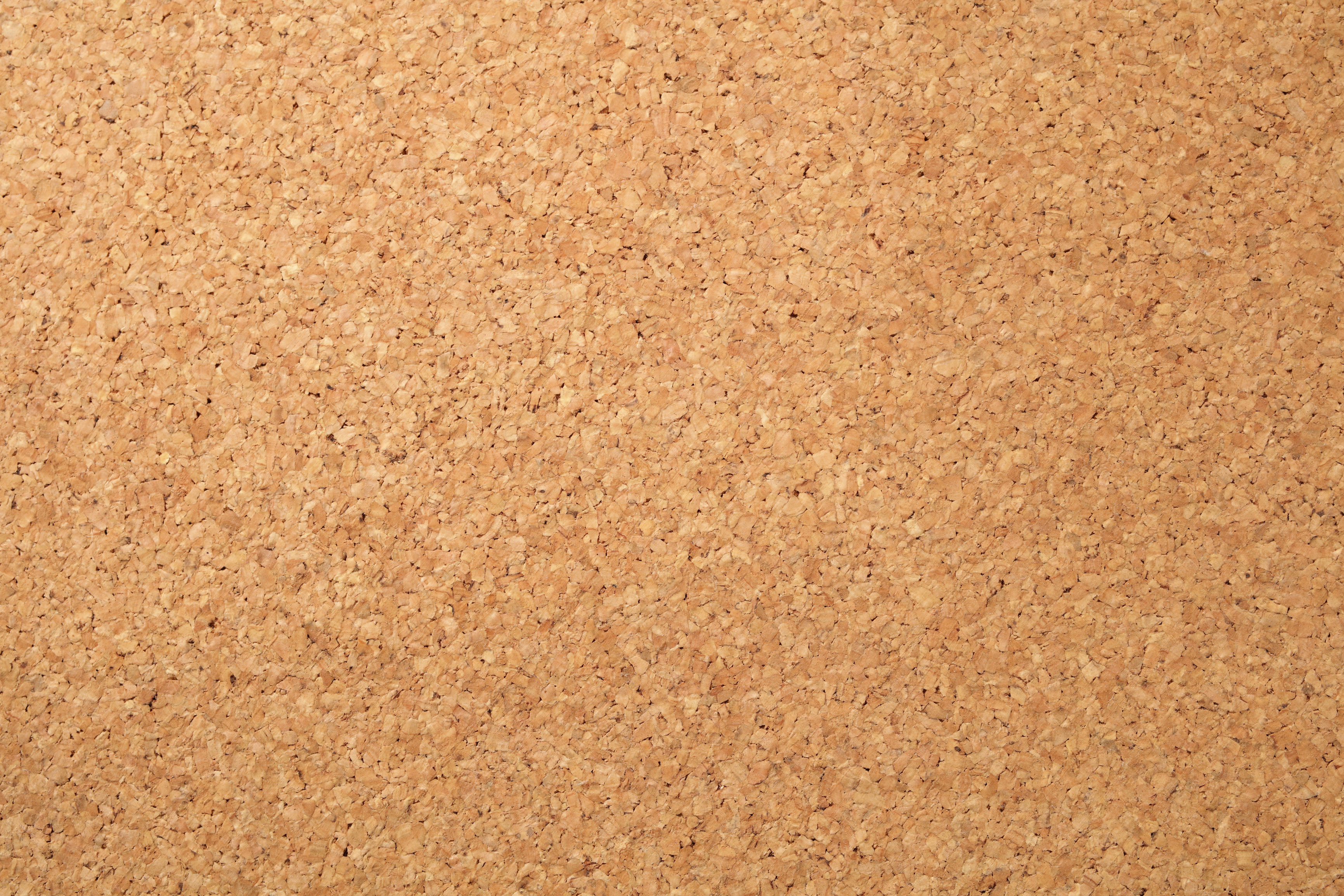 Cork board